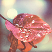 云呼死你网页版